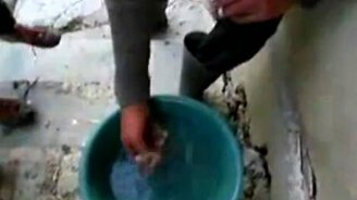 Лягушку проглотил - смотреть видео (0:35)