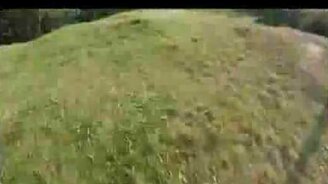 Говно надо убирать - смотреть видео (0:49)