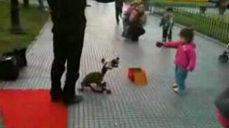 Щенок как настоящий - смотреть видео (2:01)