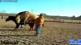 Лучшее из неудач октября - смотреть видео (3:47)