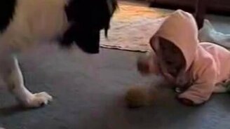 Собака учит малыша - смотреть видео (0:50)