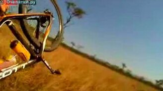 Неожиданно столкнулись - смотреть видео (0:36)