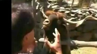 Пародия на плюющегося козла - смотреть видео (1:49)