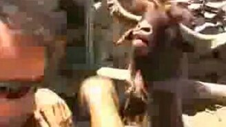 Козёл яростно плюётся - смотреть видео (1:30)