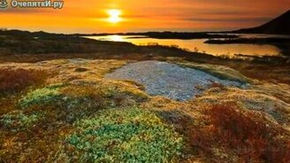 Чудесная природа Арктики - смотреть видео (3:22)