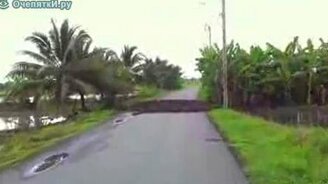 2000 уток переходят дорогу - смотреть видео (1:40)