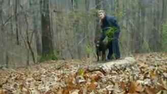 А собака против! - смотреть видео (0:22)