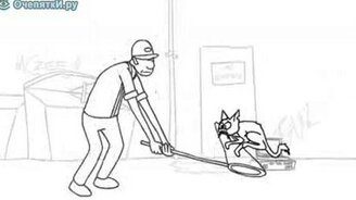 Котяра замечтался - смотреть видео (1:45)